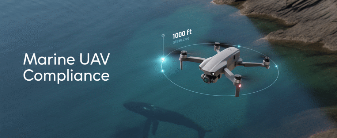 The Ecological and Regulatory Impact of UAV Surveillance on Marine and Coastal Wildlife